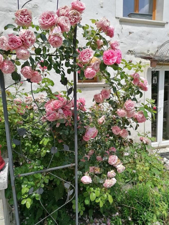 Hotellerie Jardiniers Gourmands Morsains Dış mekan fotoğraf