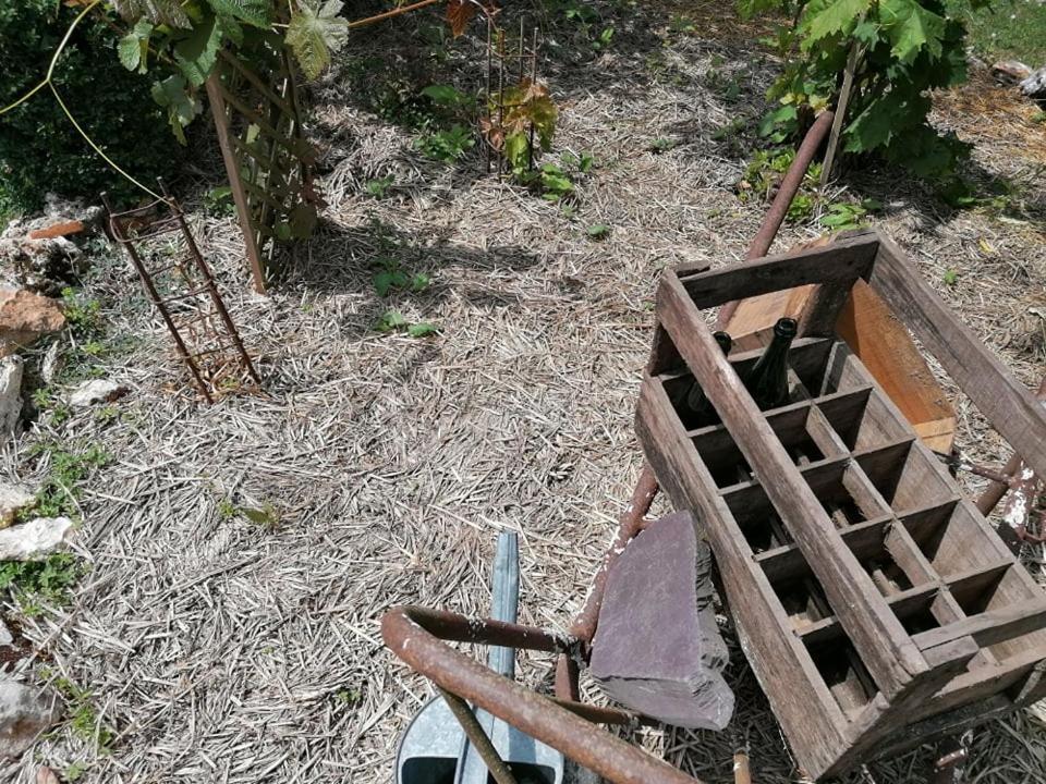 Hotellerie Jardiniers Gourmands Morsains Dış mekan fotoğraf